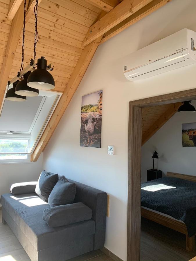 Szár Oeregtoelgy Apartman מראה חיצוני תמונה